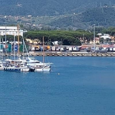 ThisKBDY's profile picture. 