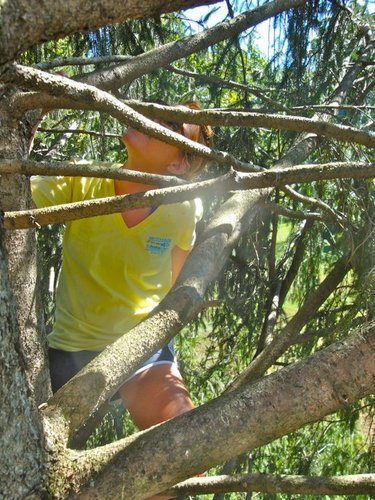 alysonlystad's profile picture. 