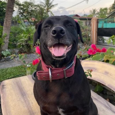 heyzackyboi's profile picture. Good boi