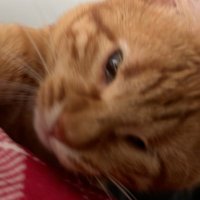 ETO BİTMİS (@gozdegunerr) Twitter profile photo