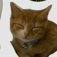 bakerykab's profile picture. 