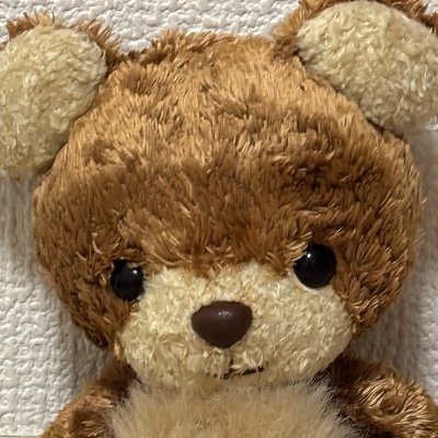 ライター。Yahooニュース、CHANTOWEB、たまひよオンラインなど。取材を中心に活動。Yahoo! ランキング1位実績複数あり。