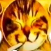 Solnyshka (@no13babey) 's Twitter Profile Photo Solnyshka (@no13babey) 's Twitter Profile Photo