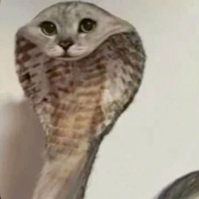 angriestfish's profile picture. 