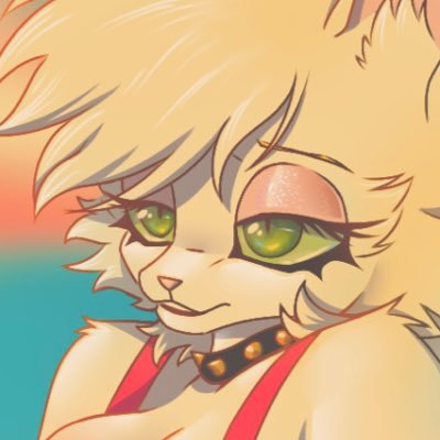 Mango Catさんのプロフィール画像