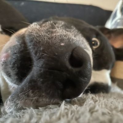 Sarcastrophus's profile picture. Follower of Jesus, father of 2 teens, musician and a disabled Army veteran.  DO NOT DM me