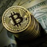 Nitesh_j03's profile picture. hello guys i am a crypto trader and i also love to farm new crypto airdrops and gain some good information about it