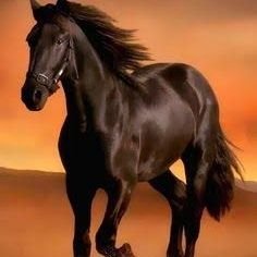 أرض السمر والنيل حضارة ممتده
I love beautiful Africa