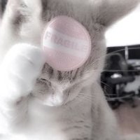 都➸♥︎⌇ (@shinya1685376) 's Twitter Profile