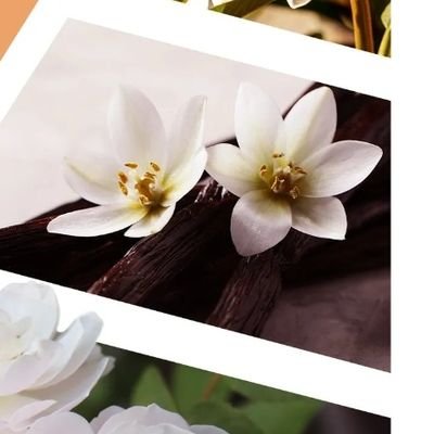 ben_hakime_'s profile picture. 