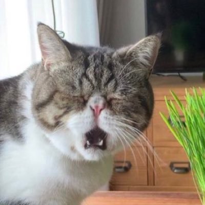 叙 破 究