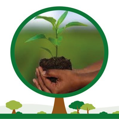 Pour un Senegal Vert sur l'ensemble du térritoire