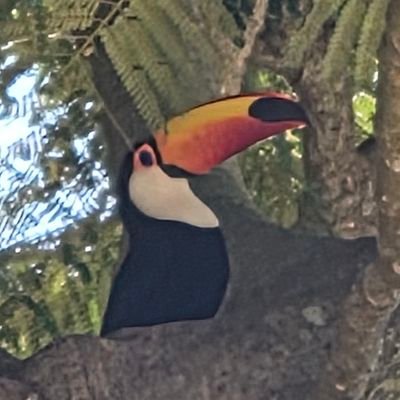 DvdToledo's profile picture. Especialista em Cyber Segurança, entusiasta de blockchain, IA, novas tecnologias e amante da vida simples na roça e do agro.