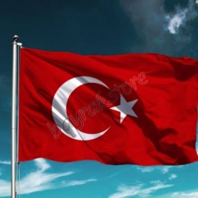 AlparslanT14900's profile picture. Türk Dili ve edebiyati öğretmeni 
finans uzmanı