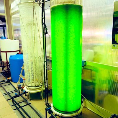 lucombo74's profile picture. AI is far better than NI (Natural Ignorance)🤪