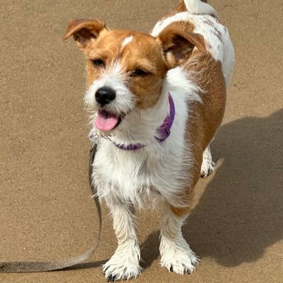 Auntiepamsy's profile picture. identifies as her/me/she-wee