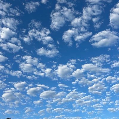 lonelycalf's profile picture. 22. Bi. Lonely.