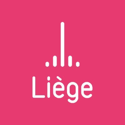 Ville de Liège Profile