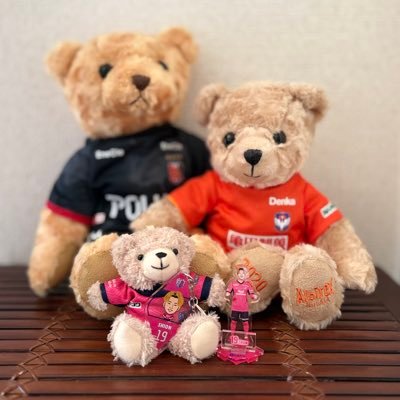 本間至恩選手を応援してます🩷@Shionhonma 🅢🅗🅘🅞🅝 🅗🅞🅜🅜🅐 @crz_official 19←@REDSOFFICIAL 19 ←@clubbrugge 62←@albirex_pr 10カメラ📷🐢 写真保存の際にはせめて一言欲しいです🙇🏻♀️