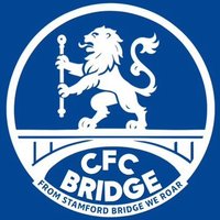 جسر تشيلسي | Chelsea bridge (@cfcbridg_) Twitter profile photo
