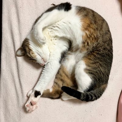 三乗さんのプロフィール画像