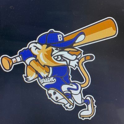 Barton Baseball Profile