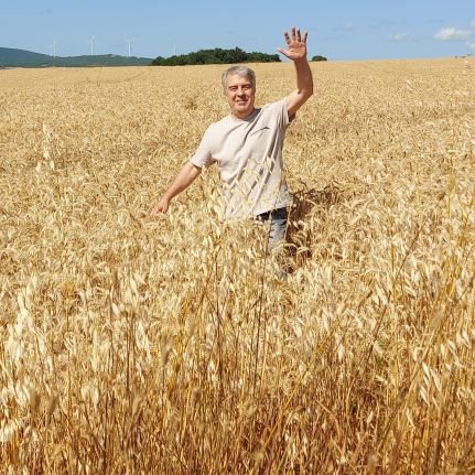 omersdeniz's profile picture. MSGSÜ Mimarlık / Architecture