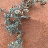 Wle (@wle2024) 's Twitter Profile