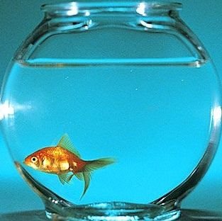 Charlie 🎣さんのプロフィール画像