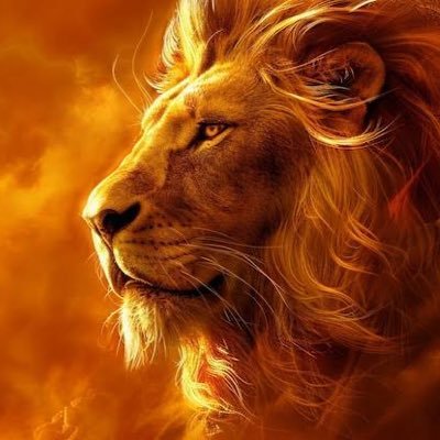 litlion88's profile picture.