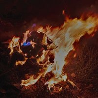 Sir Gichu (@petergichu1) 's Twitter Profile