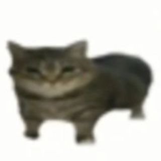 18+ // just a personal acc for memes, art, and keeping up with things!