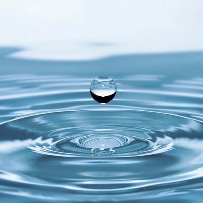 uraraka870's profile picture. 成人済:ボブゲメインの雑多垢 /🔞Gな話もする/主人公が攻めだと嬉しい派。獣に愛を。