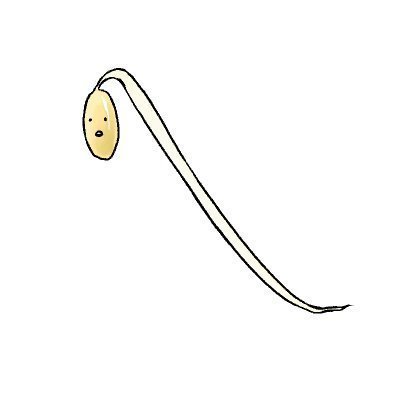 さとるんるん♪さんのプロフィール画像
