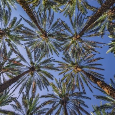 AlmogbelRand's profile picture. سعي مُستمر نحو الإحسان تتخلله إخفاقات وإحباطات ولكن يستمر السعي| @Imamclt|@IMSIU_EJAD| @SATA_Saudi | @e7twa22