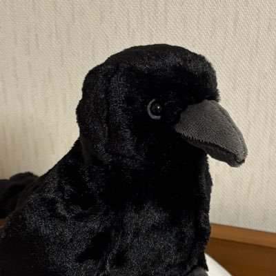 はいどらさんのプロフィール画像