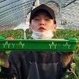 왁 (@ilmugfor) 's Twitter Profile Photo 왁 (@ilmugfor) 's Twitter Profile Photo