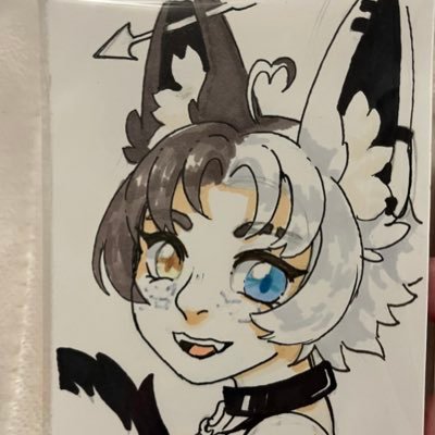 A Fox on Mars 🌟さんのプロフィール画像