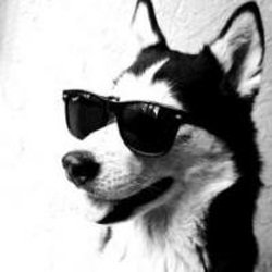 Dosarさんのプロフィール画像