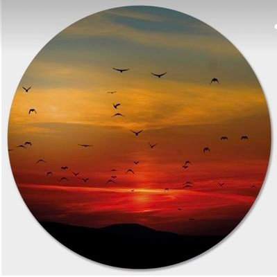 Jyoti3648081798's profile picture. 