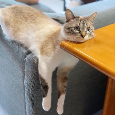 duhjbqwe's profile picture. Own your story.