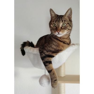 68Zini's profile picture. 8 x 💉 + 😷

Dienstbotin unserer Katzen, Hobbyfotografin, sportbegeistert und gern i d Natur unterwegs