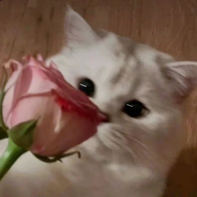 nassammierra's profile picture. god bless these 20 somethings