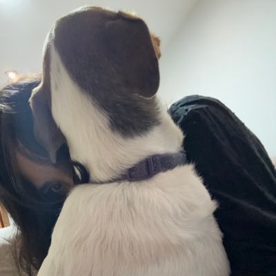 everpataslocas's profile picture. el eterno resplandor de una mente sin nada