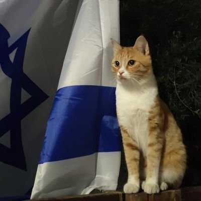 dinozawer's profile picture. מוזיקה ונבואות זעם