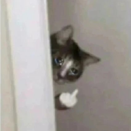 VTLS0810's profile picture. 