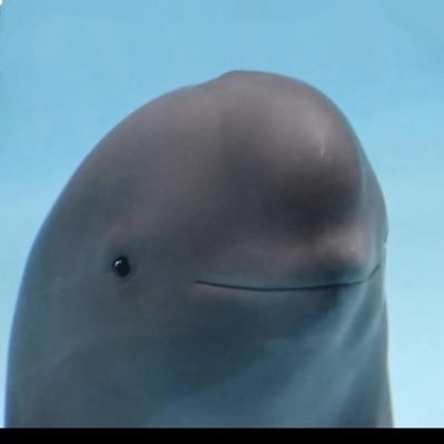 Nick_sk97's profile picture. 28