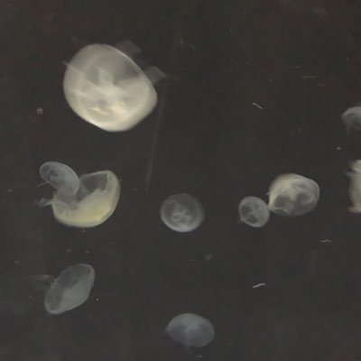 tkd53's profile picture. 大学4回生/株アカのつもり