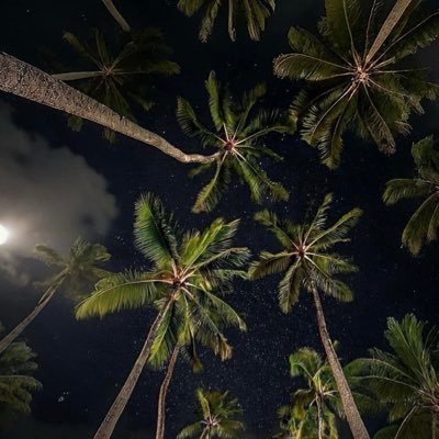 1424dh's profile picture. طب وجراحة | #IMC444