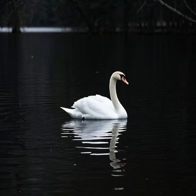 Keyszer_Soze's profile picture. Carpe Diem